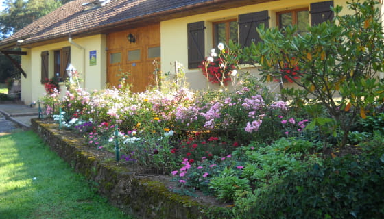 Chambres D’hôtes - Destination Vosges Portes D'Alsace